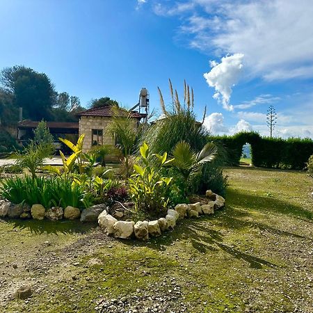 Gaia Residence, Peristerona, Polis Chrysochous Paphos Ngoại thất bức ảnh